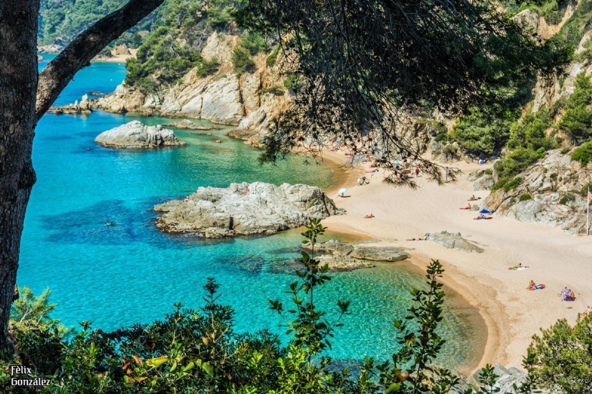 Al11 Apartamento Albert Lloret de Mar Exteriör bild